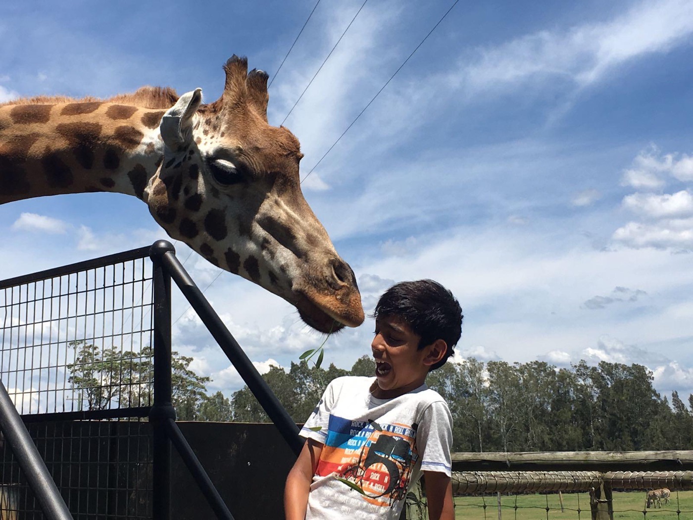 Young Mahir laughing as a giraffe leans in over the fence